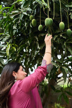 Mal Chanderi Bloom Embroidered Suit Set